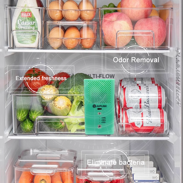 Refrigerator deodorizer